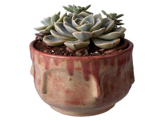 Bisque Many Faced Planter (Case of 4)