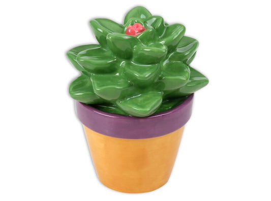 Bisque Sweet Succulent (Case of 4)