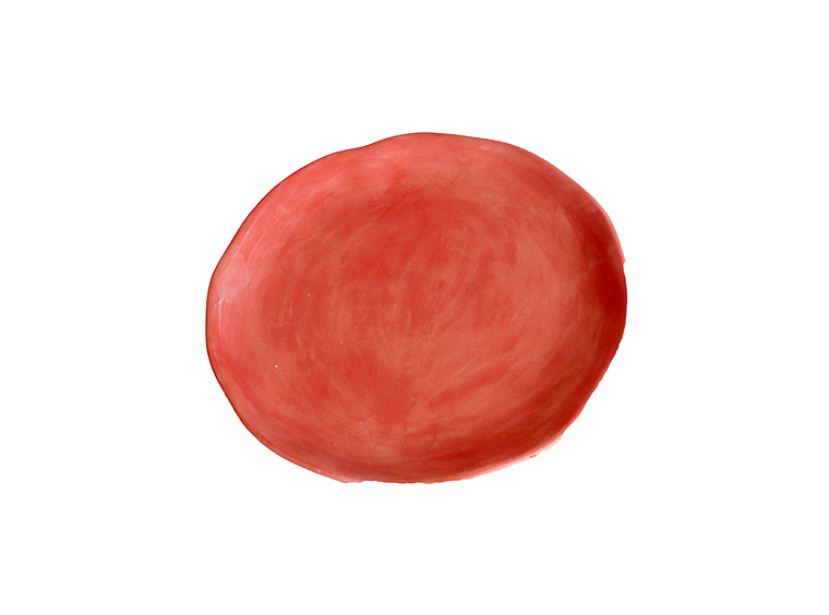 Bisque Basal Salad Plate (Case of 6)