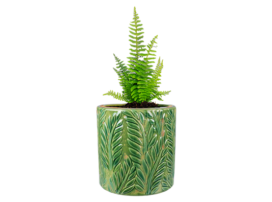 Bisque Tropical Fern Planter (Case of 4)