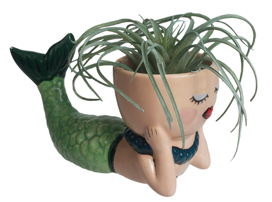 Bisque Pearl The Mermaid Planter (Case of 6)