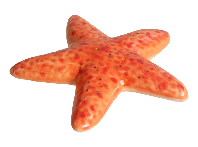 Bisque Starfish (Case of 12)