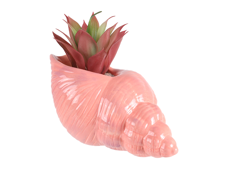Bisque Trumpet Shell Planter (Case of 4)