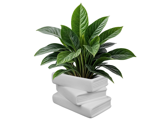Bisque Good Reads Planter (Case of 2)