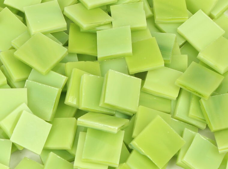 Lime Green/White Bits (Case of 1)