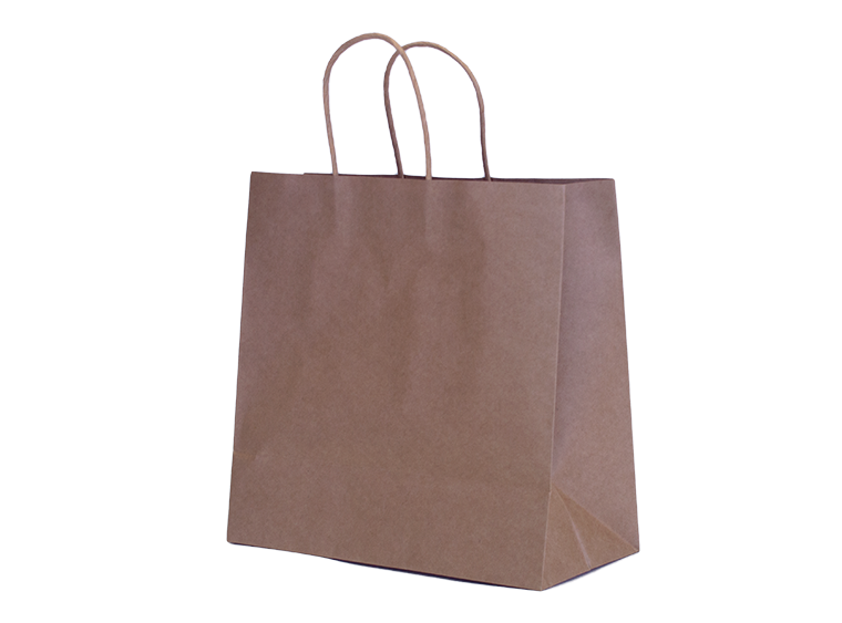 Medium Kraft Paper Bag (Case of 50)