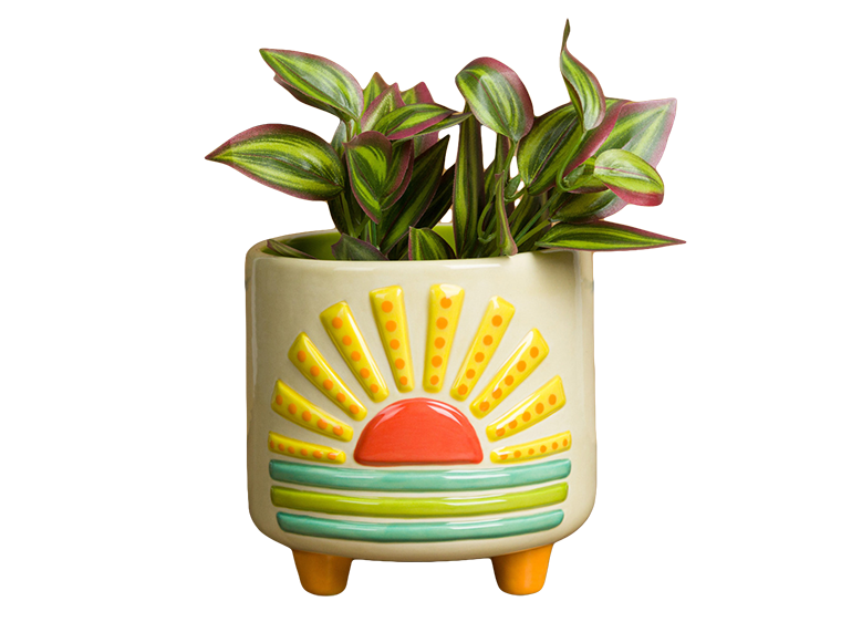 Bisque Sun Footed Container (Case of 2)