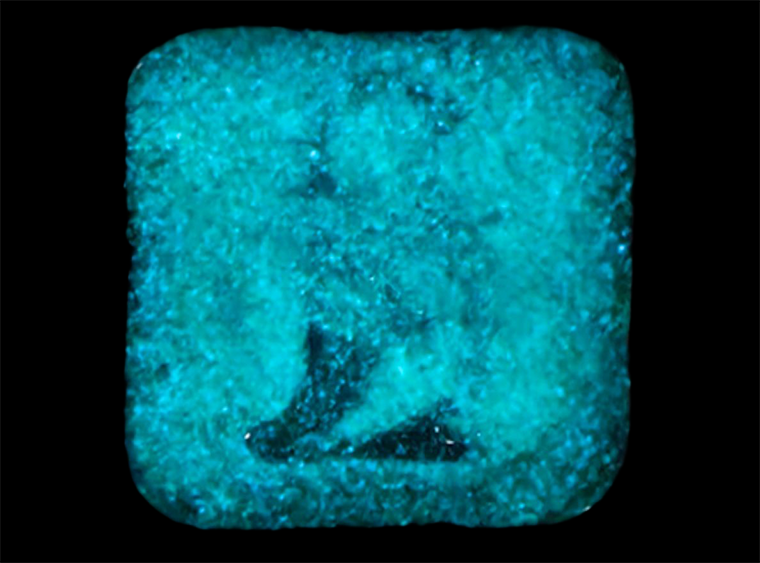 Green Glow In The Dark - 4 Ounces (Case of 1)