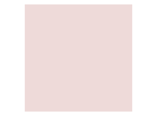 Complexion Pink Acrylic (Case of 1)