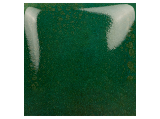 Teal Next Time 8 Ounces (Case of 1)