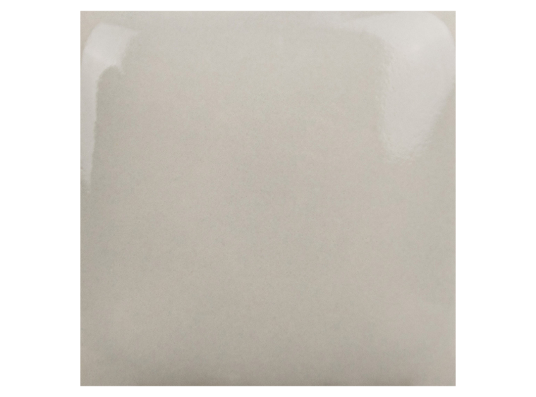 Silver Lining Gallon (Case of 1)