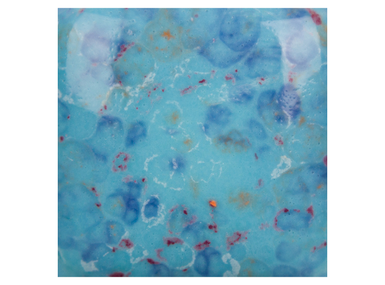 Speckled Tic-Tac-Turquoise - 8 Ounces (Case of 1)
