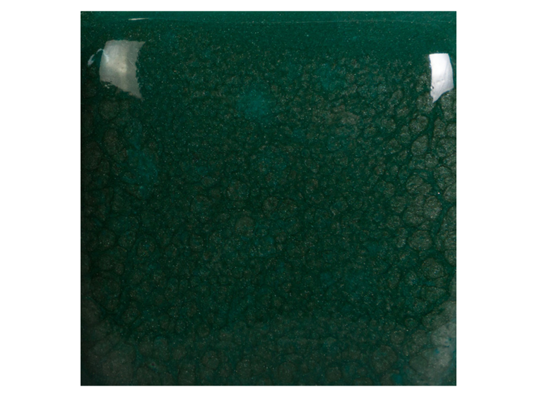Speckled Teal Next Time 16 Ounces (Case of 1)