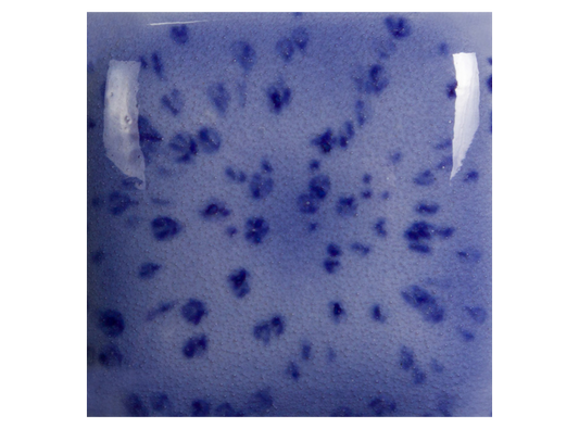 Speckled Purple Haze 8 Ounces (Case of 1)