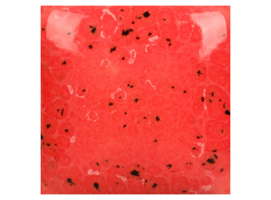Speckled Cutie Pie Coral - 8 Ounces (Case of 1)
