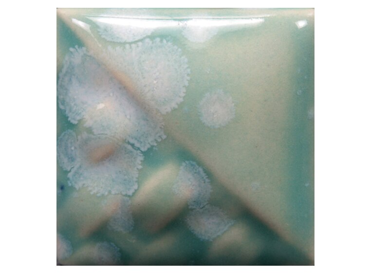 Celadon Bloom - 16 Ounces (Case of 1)