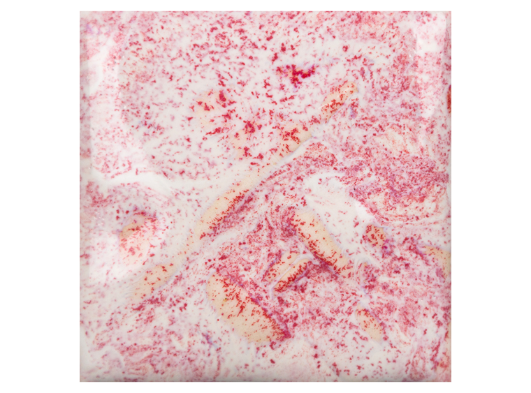 Pink Pearl - 16 Ounces (Case of 1)
