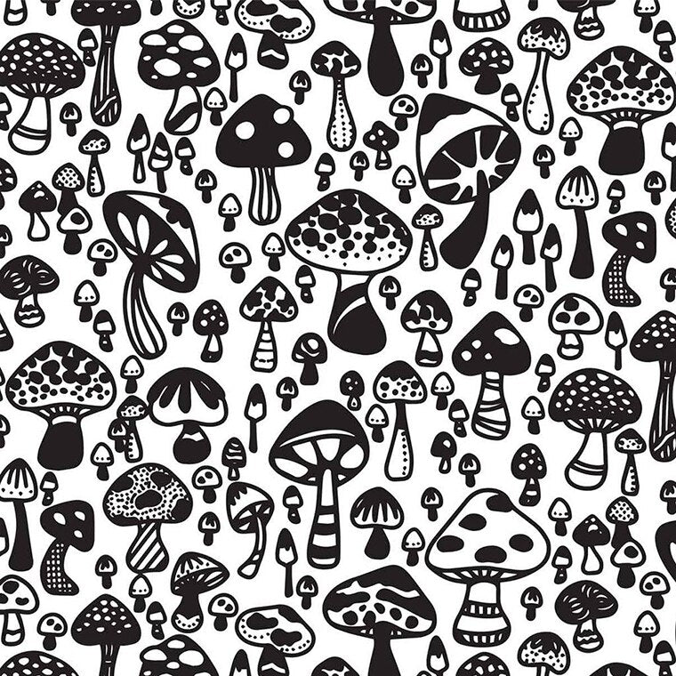 Wild Mushroom (Case of 1)