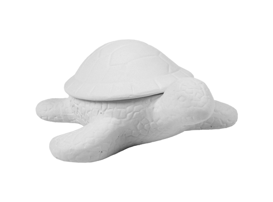 Bisque Turtle Box (Case of 6)