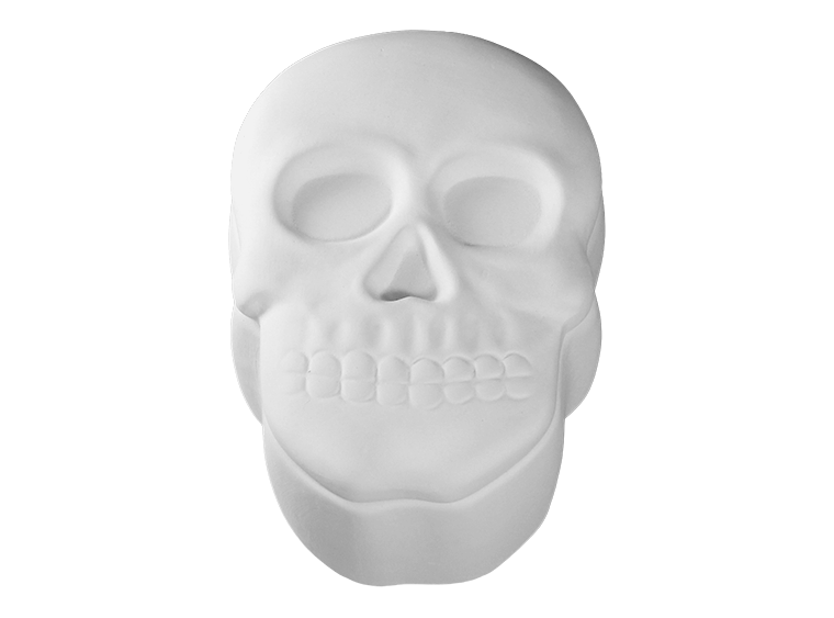Bisque Skull Box (Case of 4)