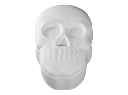 Bisque Skull Box (Case of 4)