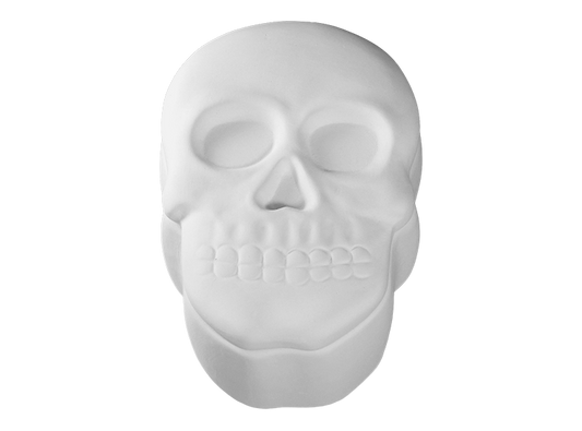 Bisque Skull Box (Case of 4)