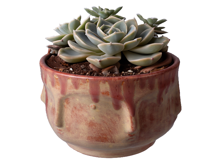 Bisque Many Faced Planter (Case of 4)