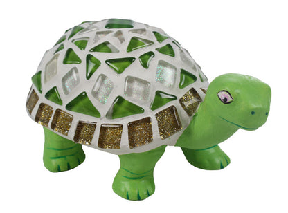 Bisque Tango The Turtle (Case of 6)