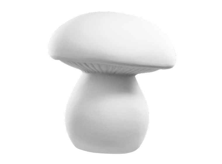 Bisque Whimsy Mushroom (Case of 4)