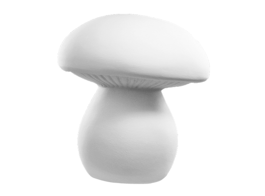 Bisque Whimsy Mushroom (Case of 4)