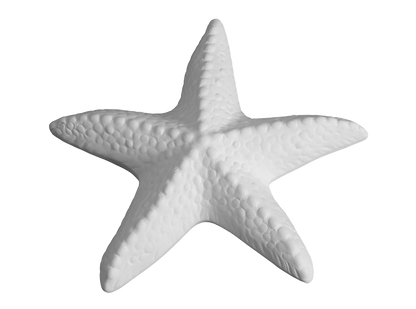 Bisque Spiny Starfish (Case of 12)