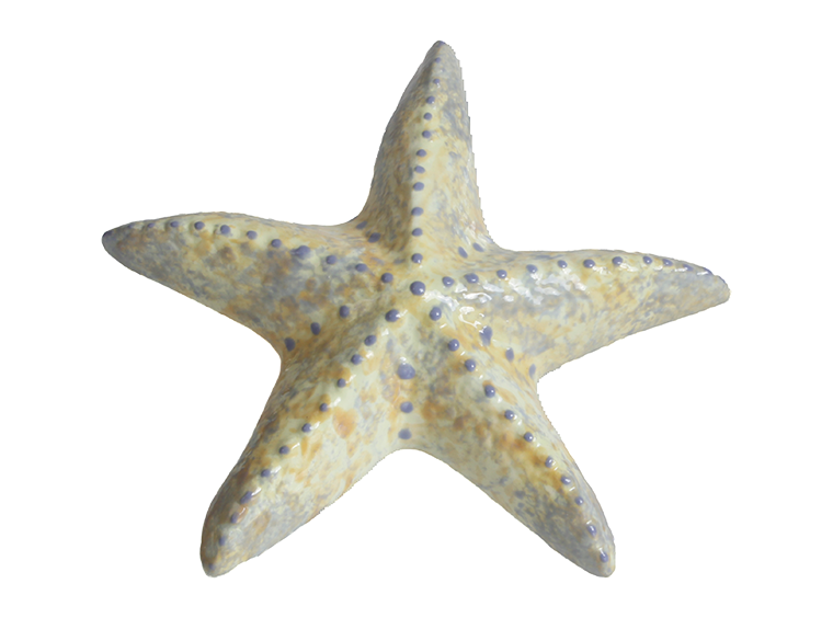 Bisque Spiny Starfish (Case of 12)