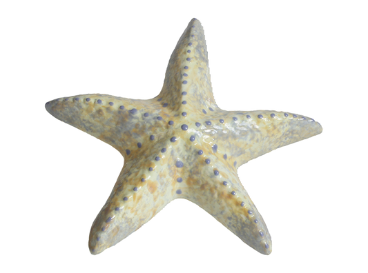 Bisque Spiny Starfish (Case of 12)