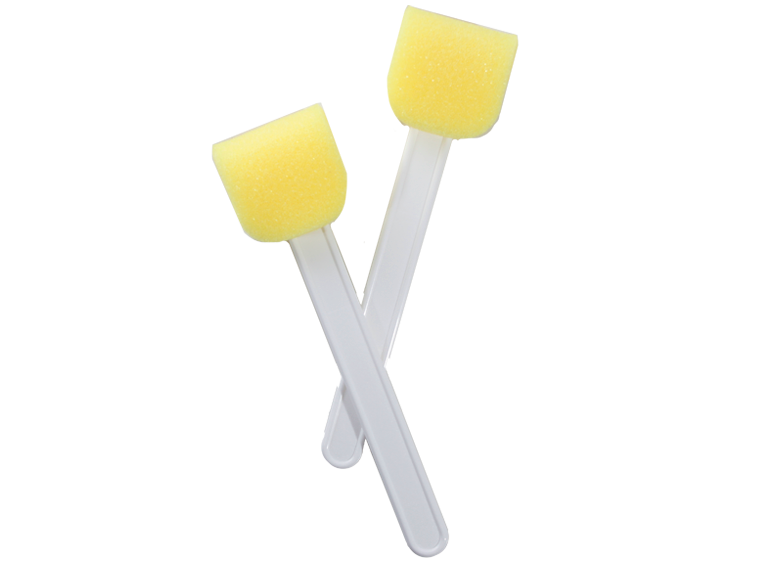 Lollipop Sponge Set (Case of 2)