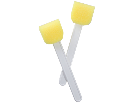 Lollipop Sponge Set (Case of 2)