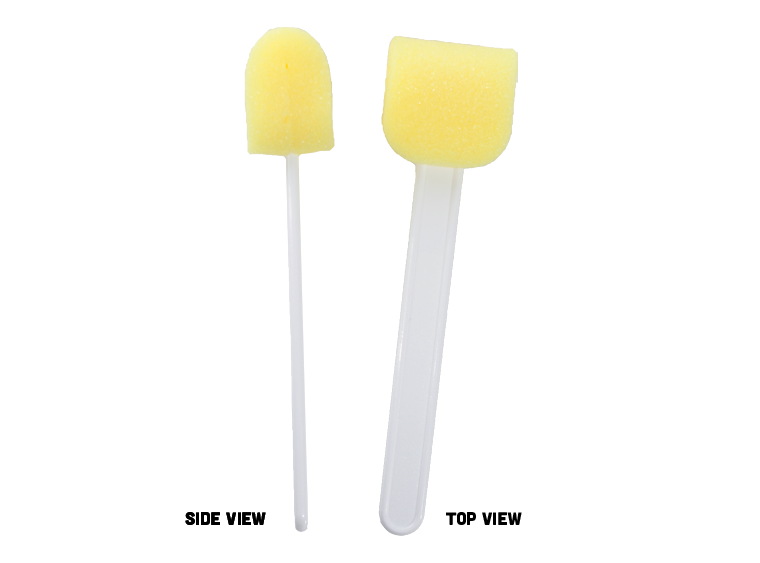 Lollipop Sponge Set (Case of 2)