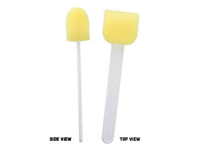 Lollipop Sponge Set (Case of 2)