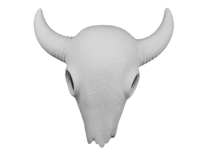 Bisque Mounted Steer Skull (Case of 1)