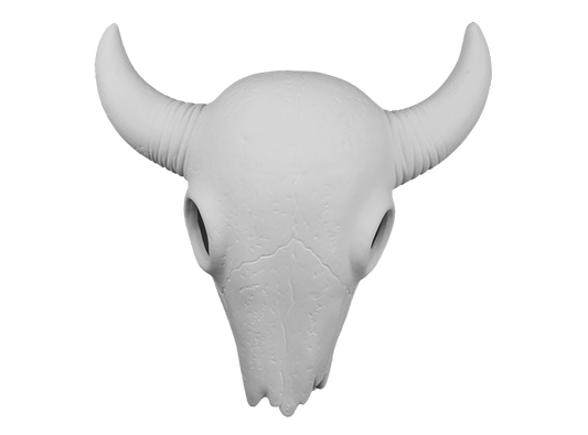 Bisque Mounted Steer Skull (Case of 1)