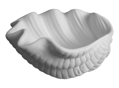 Bisque Giant Clam Shell Dish (Case of 6)