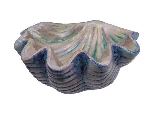 Bisque Giant Clam Shell Dish (Case of 6)