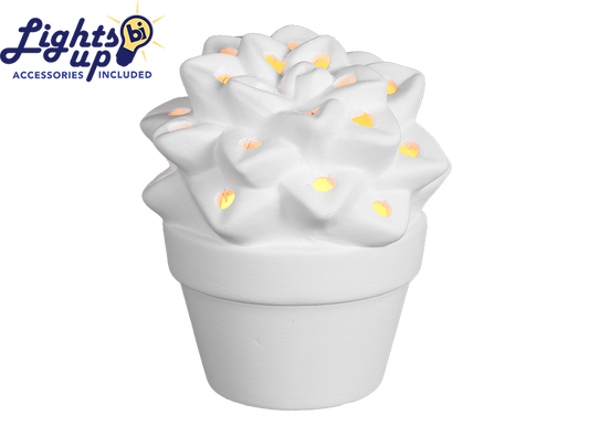 Bisque Hot Pots Night Light (Case of 4)