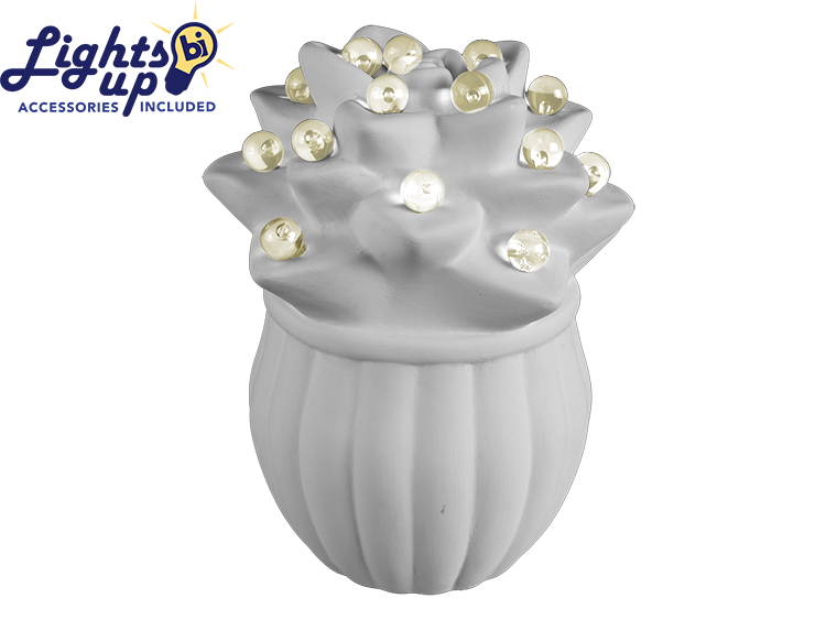 Bisque Lighted Sweet Succulent (Case of 4)