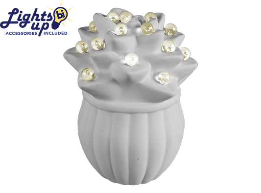 Bisque Lighted Sweet Succulent (Case of 4)
