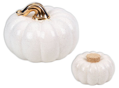Bisque Big Squatty Gourd (Case of 1)