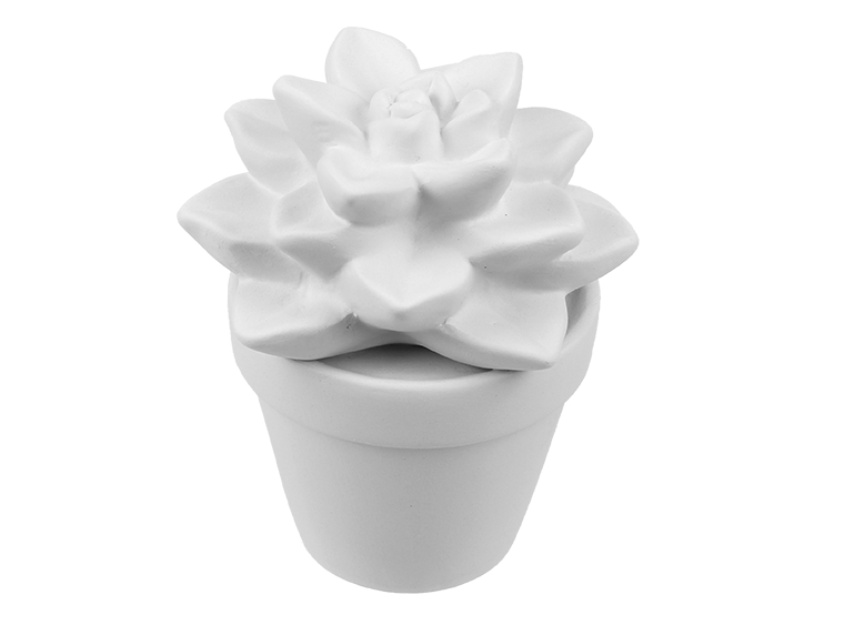 Bisque Sweet Succulent (Case of 4)