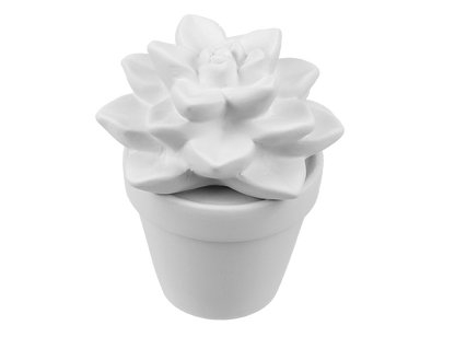 Bisque Sweet Succulent (Case of 4)