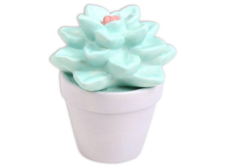 Bisque Sweet Succulent (Case of 4)