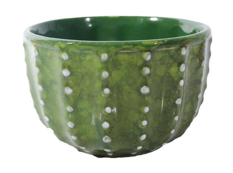Bisque Cactus Bowl (Case of 4)