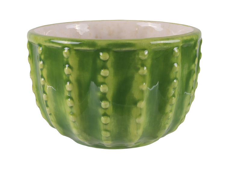 Bisque Cactus Bowl (Case of 4)